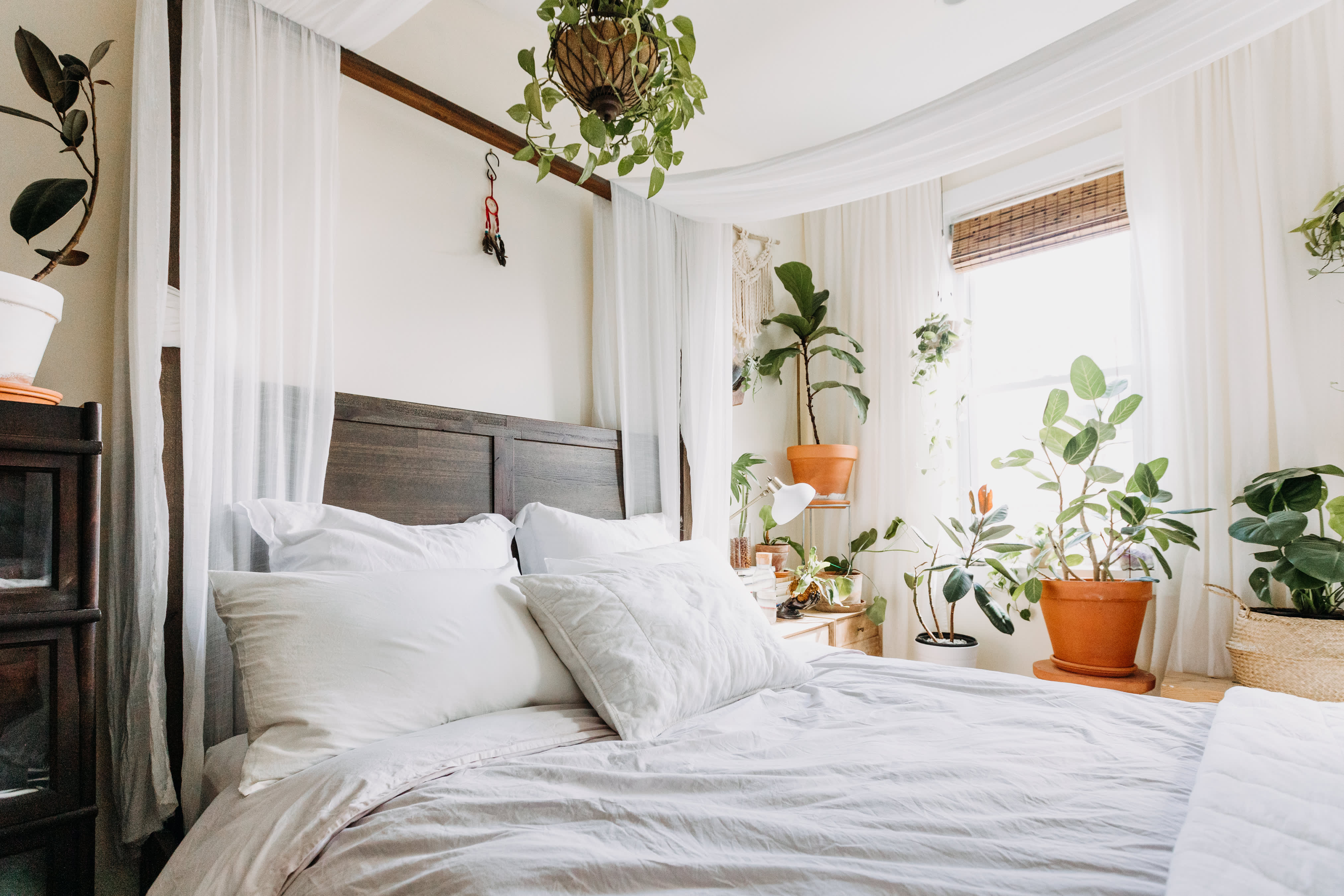 Plants store on nightstand